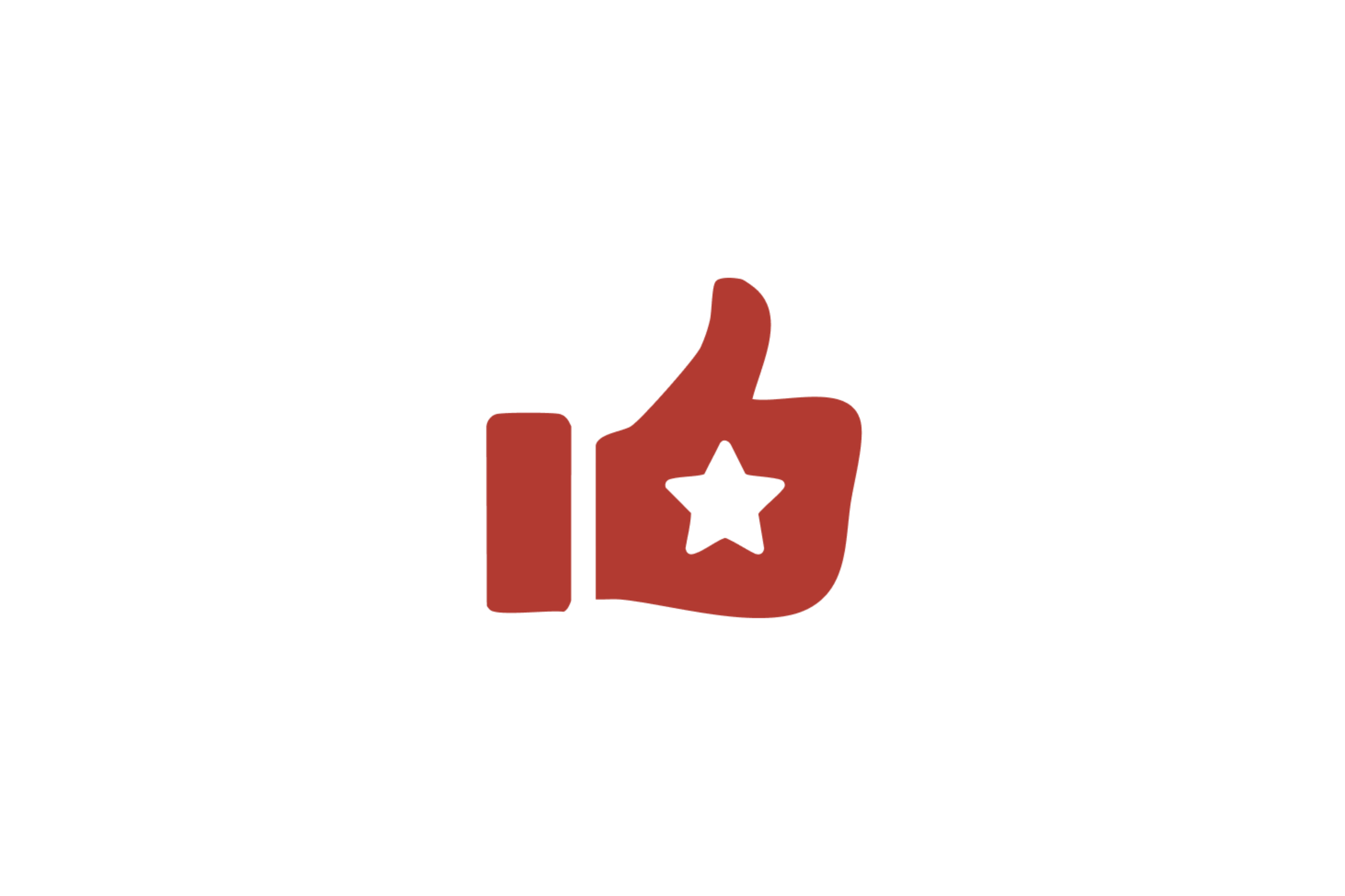 QR Customer Review